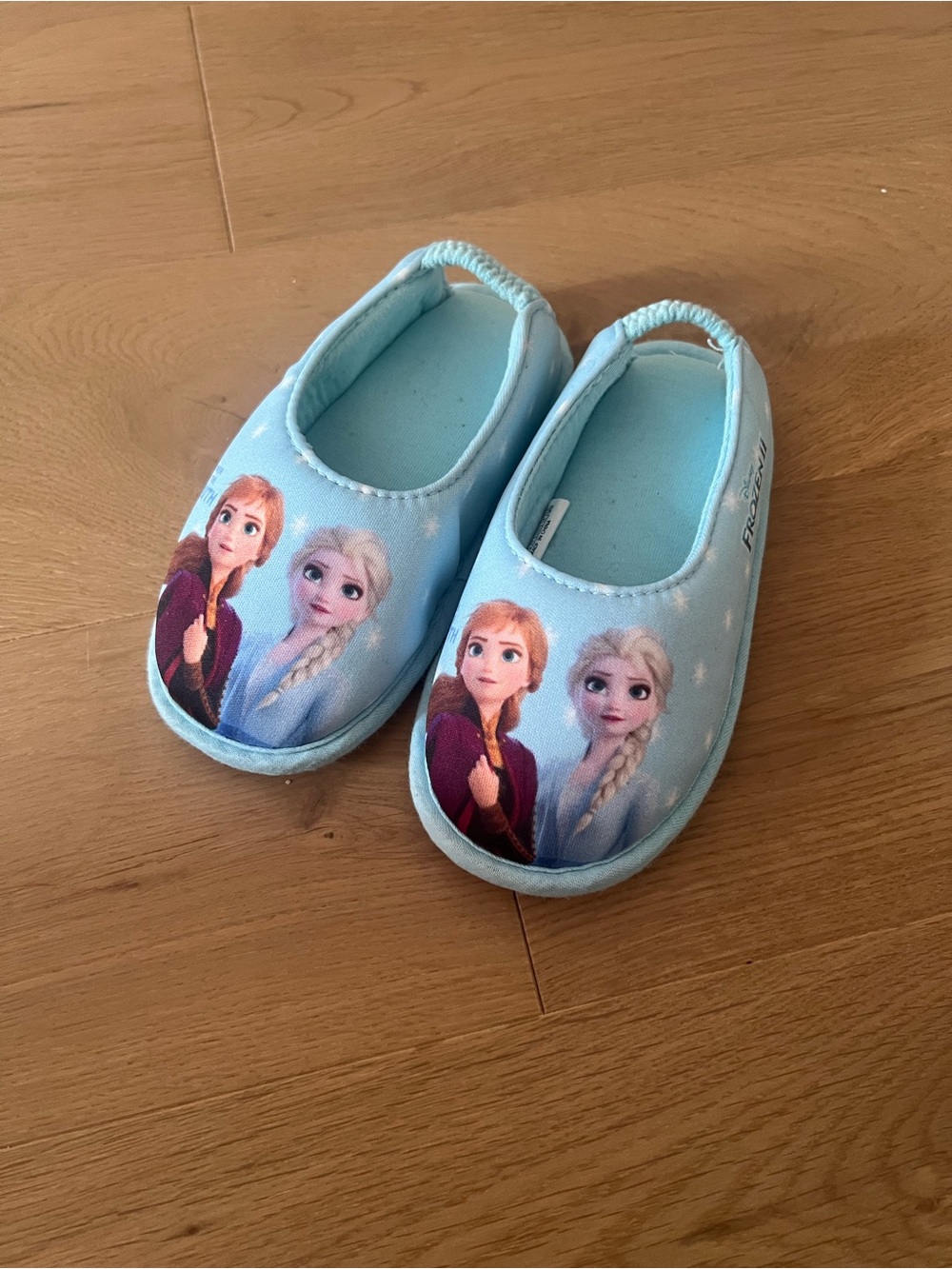 Frozen Elsa Slip-On Indoor shoes